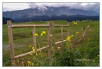 Leaning Fence, Gulmarg, 2004