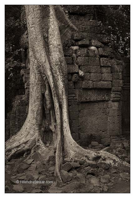 hsp_141026_0201_bw_web.jpg
