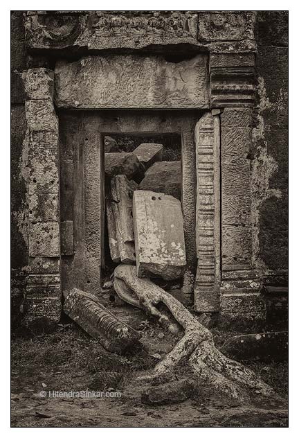 hsp_141026_0205_bw_web.jpg