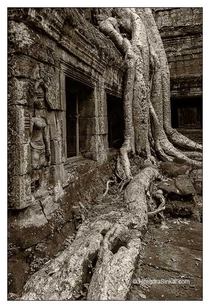 hsp_141026_0213_bw_web.jpg